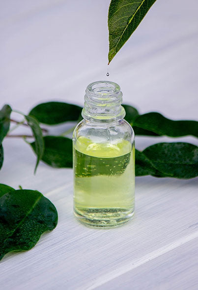 Tea Tree Oil